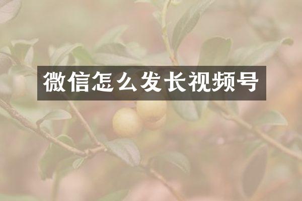 微信怎么发长视频号