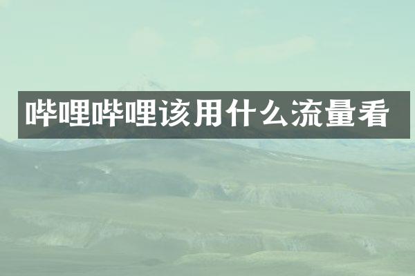 哔哩哔哩该用什么流量看