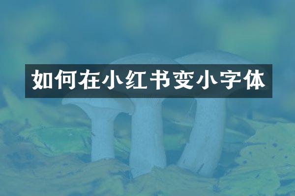 如何在小红书变小字体