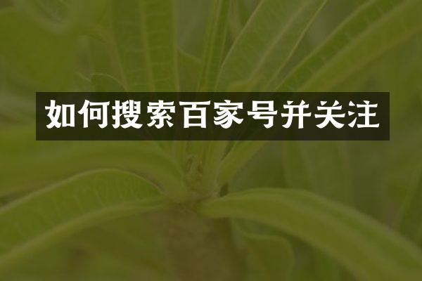 如何搜索百家号并关注