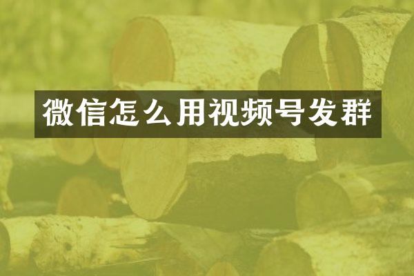 微信怎么用视频号发群