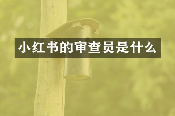 小红书的审查员是什么