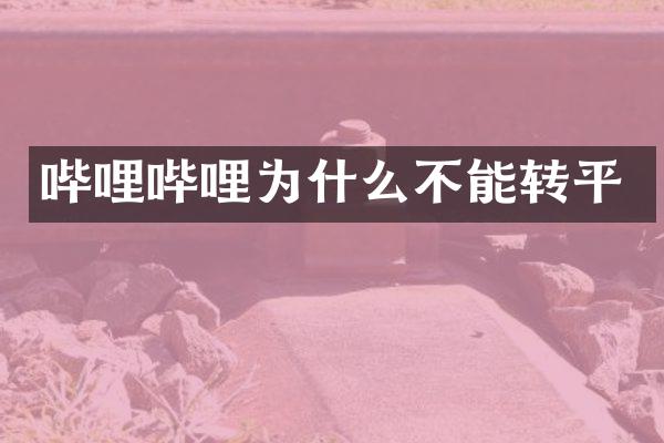 哔哩哔哩为什么不能转平