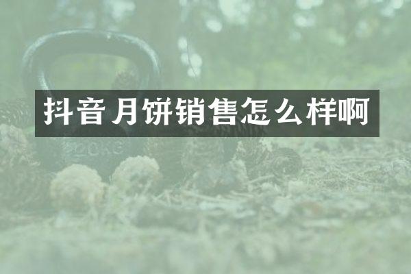 抖音月饼销售怎么样啊