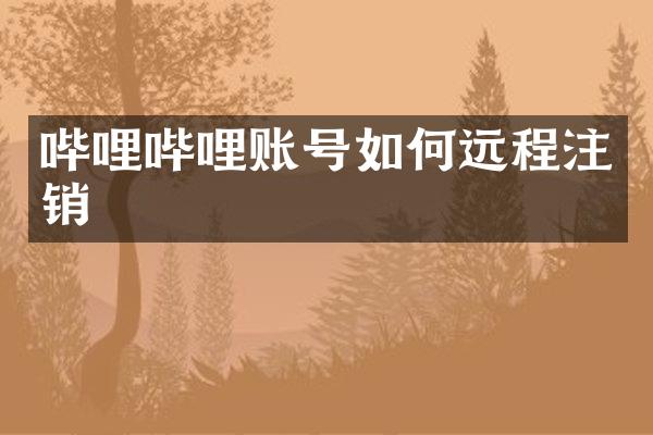 哔哩哔哩账号如何远程注销