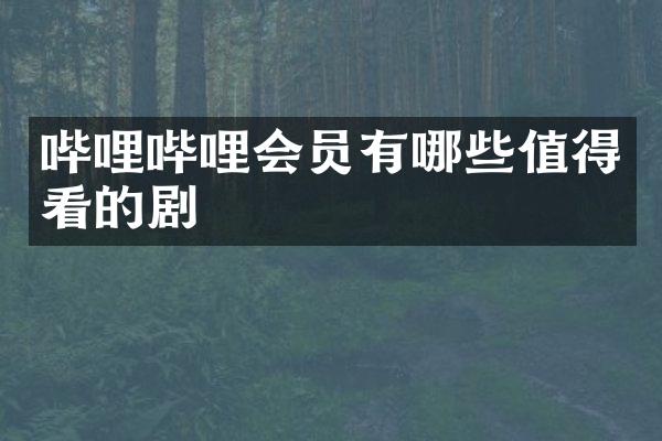哔哩哔哩会员有哪些值得看的剧