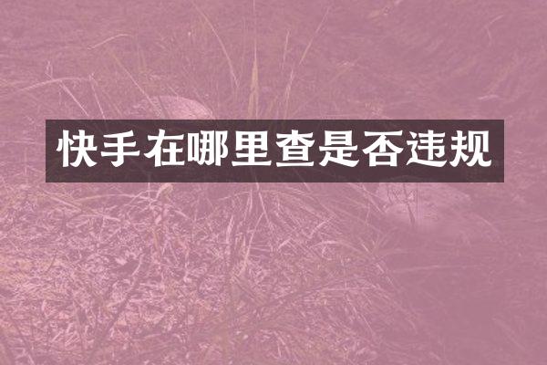 快手在哪里查是否违规