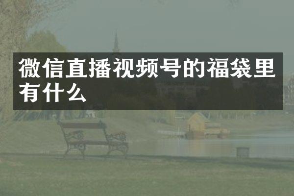 微信直播视频号的福袋里有什么
