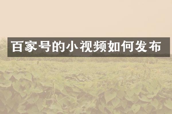 百家号的小视频如何发布