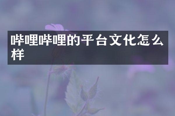 哔哩哔哩的平台文化怎么样
