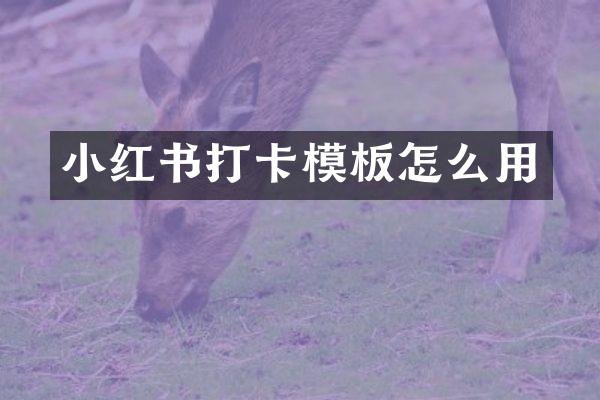 小红书打卡模板怎么用
