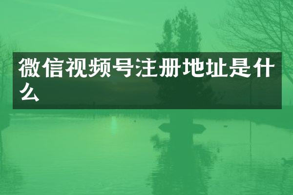 微信视频号注册地址是什么