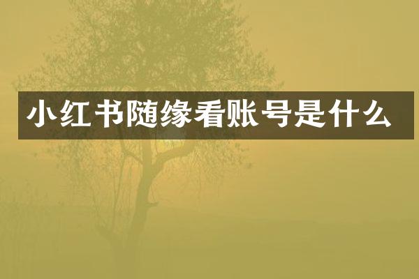 小红书随缘看账号是什么