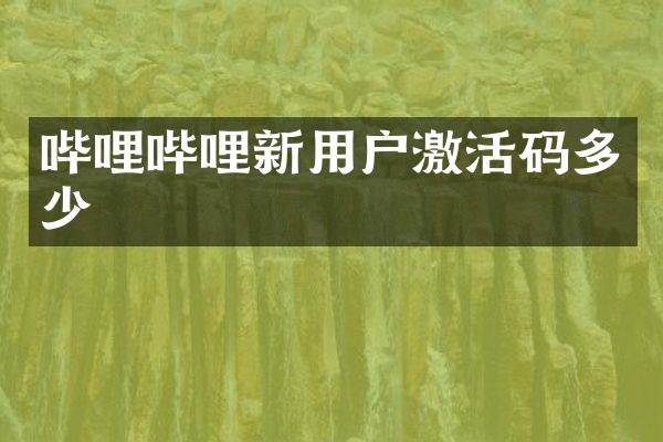 哔哩哔哩新用户激活码多少