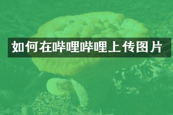 如何在哔哩哔哩上传图片