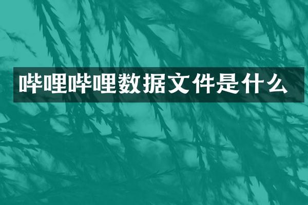 哔哩哔哩数据文件是什么
