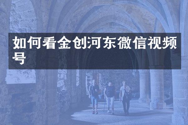 如何看金创河东微信视频号
