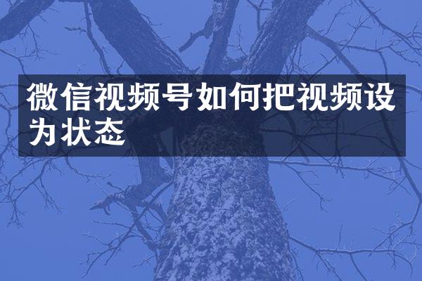 微信视频号如何把视频设为状态