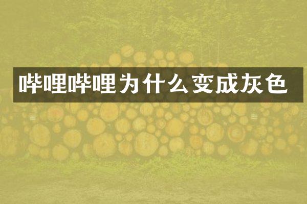 哔哩哔哩为什么变成灰色
