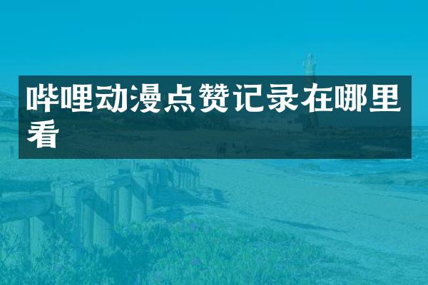 哔哩动漫点赞记录在哪里看