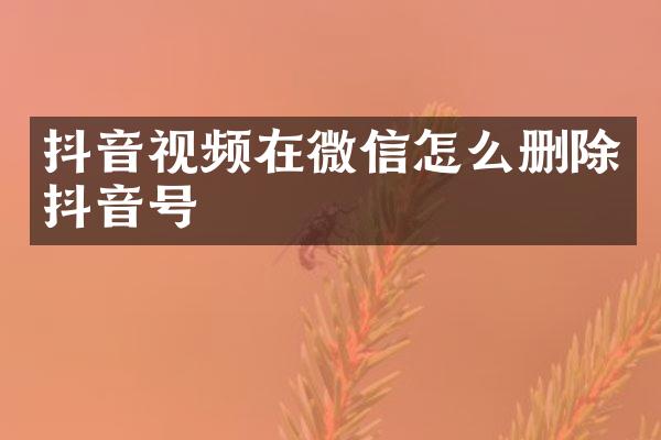 抖音视频在微信怎么删除抖音号