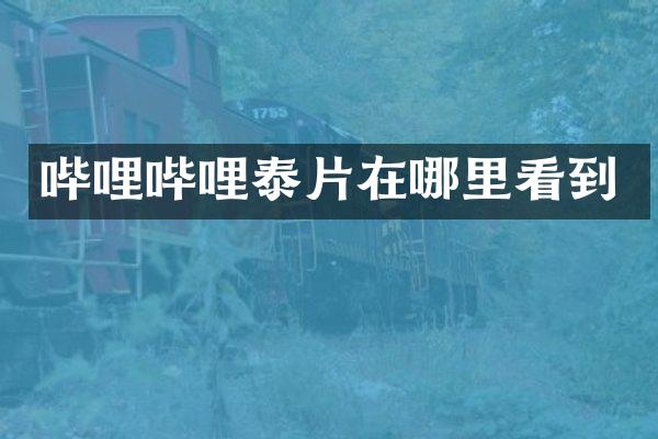 哔哩哔哩泰片在哪里看到