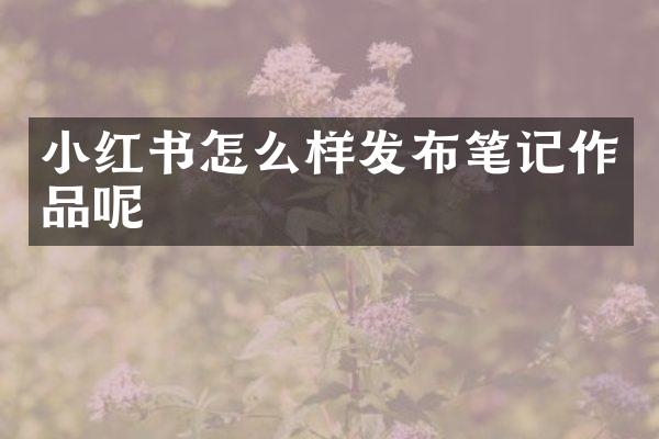 小红书怎么样发布笔记作品呢