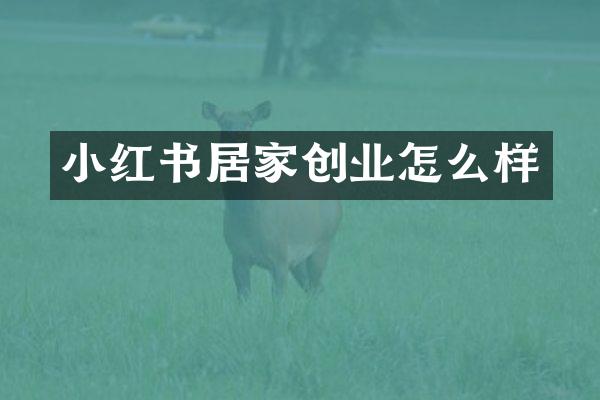 小红书居家创业怎么样