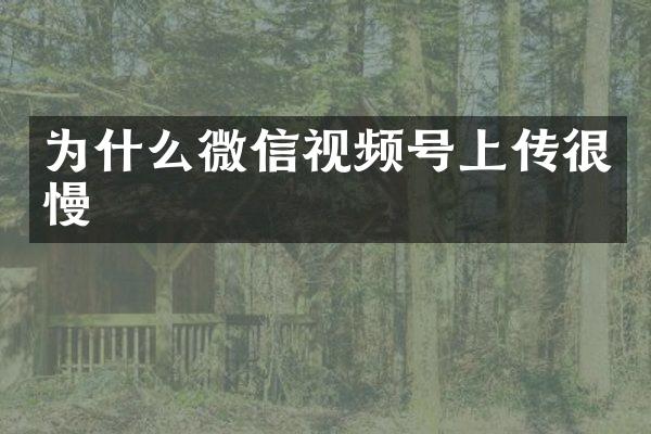 为什么微信视频号上传很慢