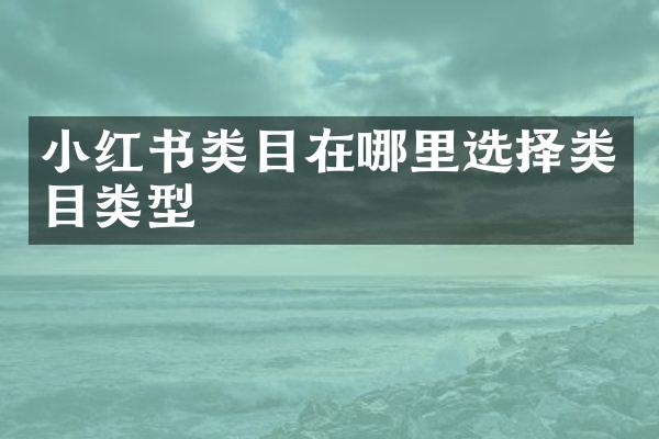 小红书类目在哪里选择类目类型