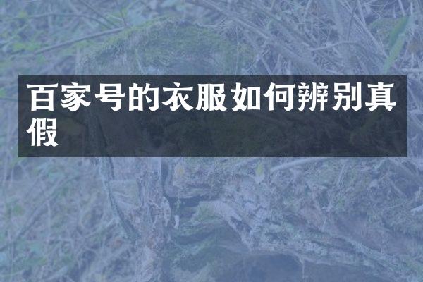 百家号的衣服如何辨别真假