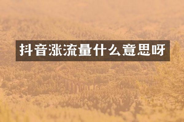 抖音涨流量什么意思呀