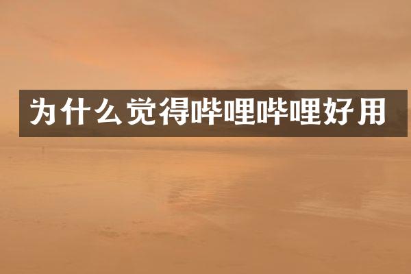 为什么觉得哔哩哔哩好用