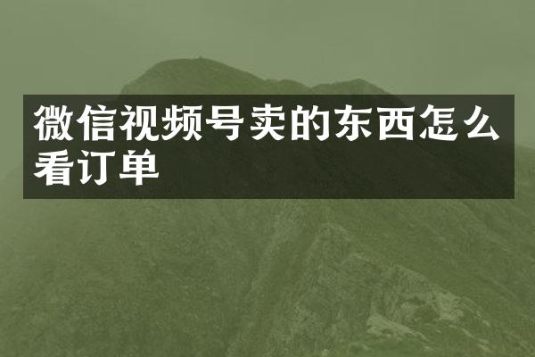 微信视频号卖的东西怎么看订单