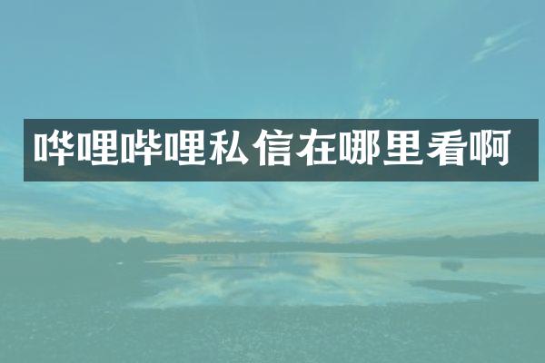 哗哩哔哩私信在哪里看啊