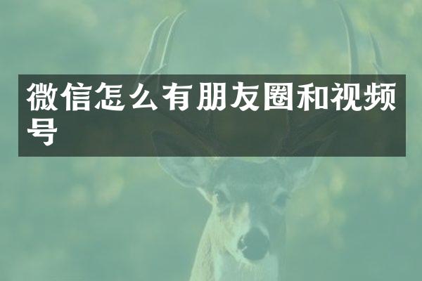 微信怎么有朋友圈和视频号