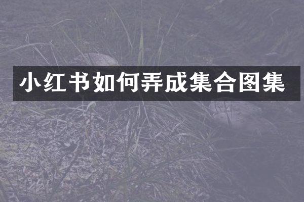 小红书如何弄成集合图集