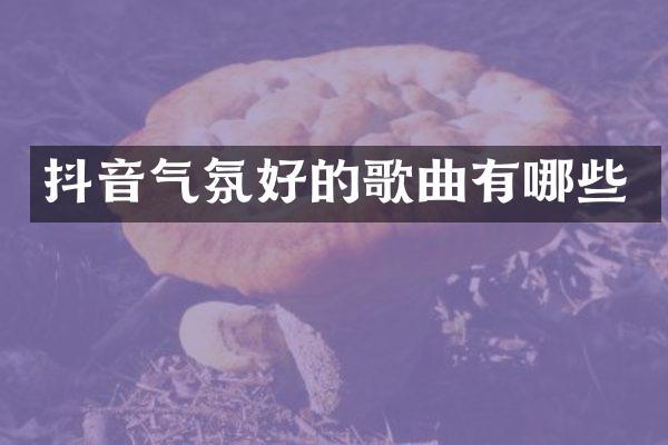 抖音气氛好的歌曲有哪些