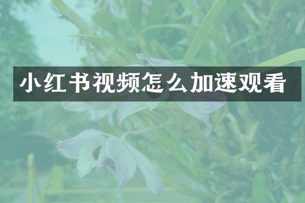 小红书视频怎么加速观看