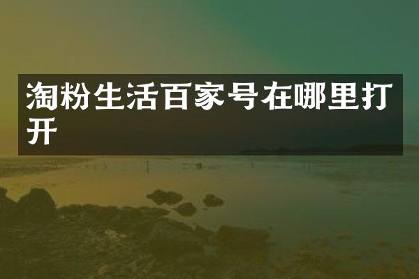 淘粉生活百家号在哪里打开