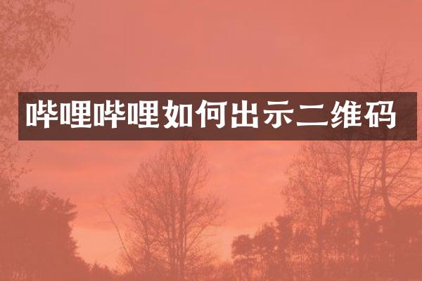 哔哩哔哩如何出示二维码