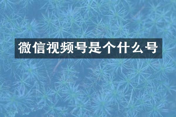微信视频号是个什么号