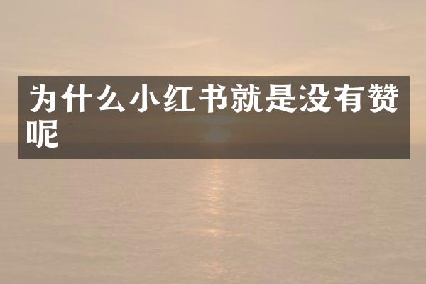 为什么小红书就是没有赞呢