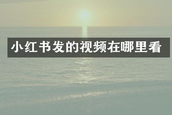小红书发的视频在哪里看