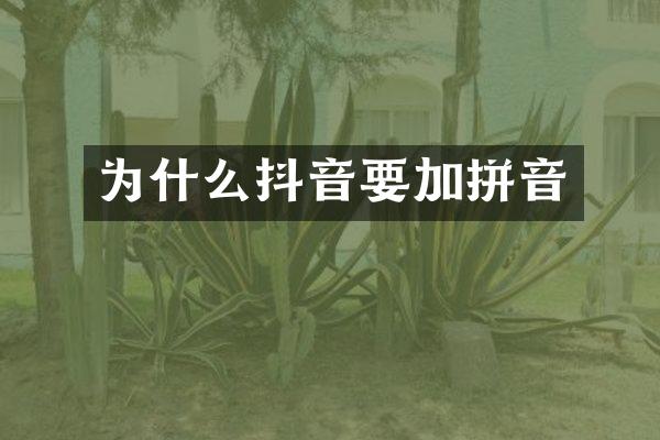 为什么抖音要加拼音