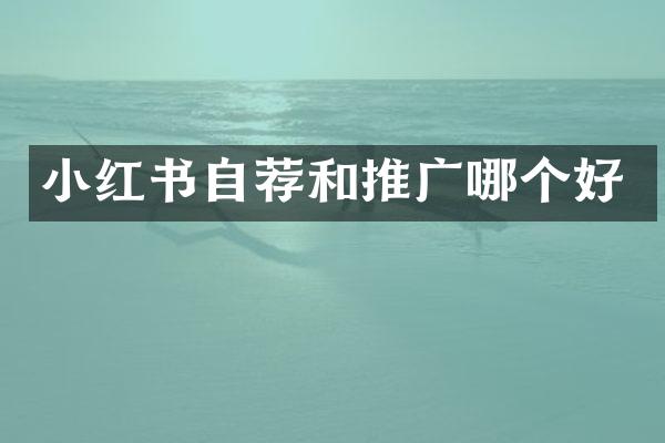 小红书自荐和推广哪个好