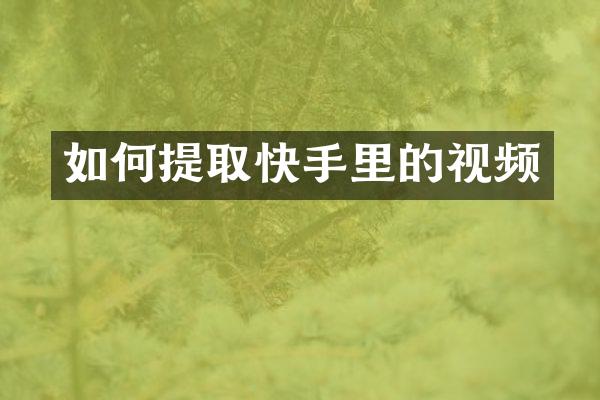如何提取快手里的视频
