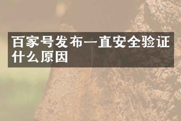 百家号发布一直安全验证什么原因
