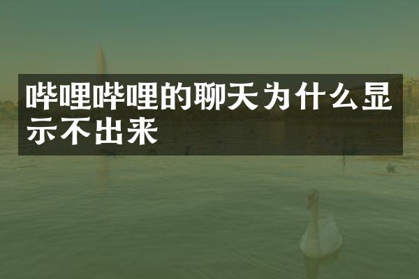 哔哩哔哩的聊天为什么显示不出来