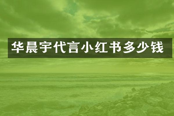 华晨宇代言小红书多少钱